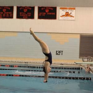 Meet your Posher, Veronica